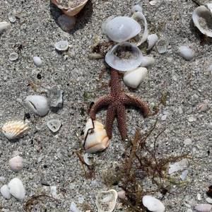 Meet your Posher, Dessa